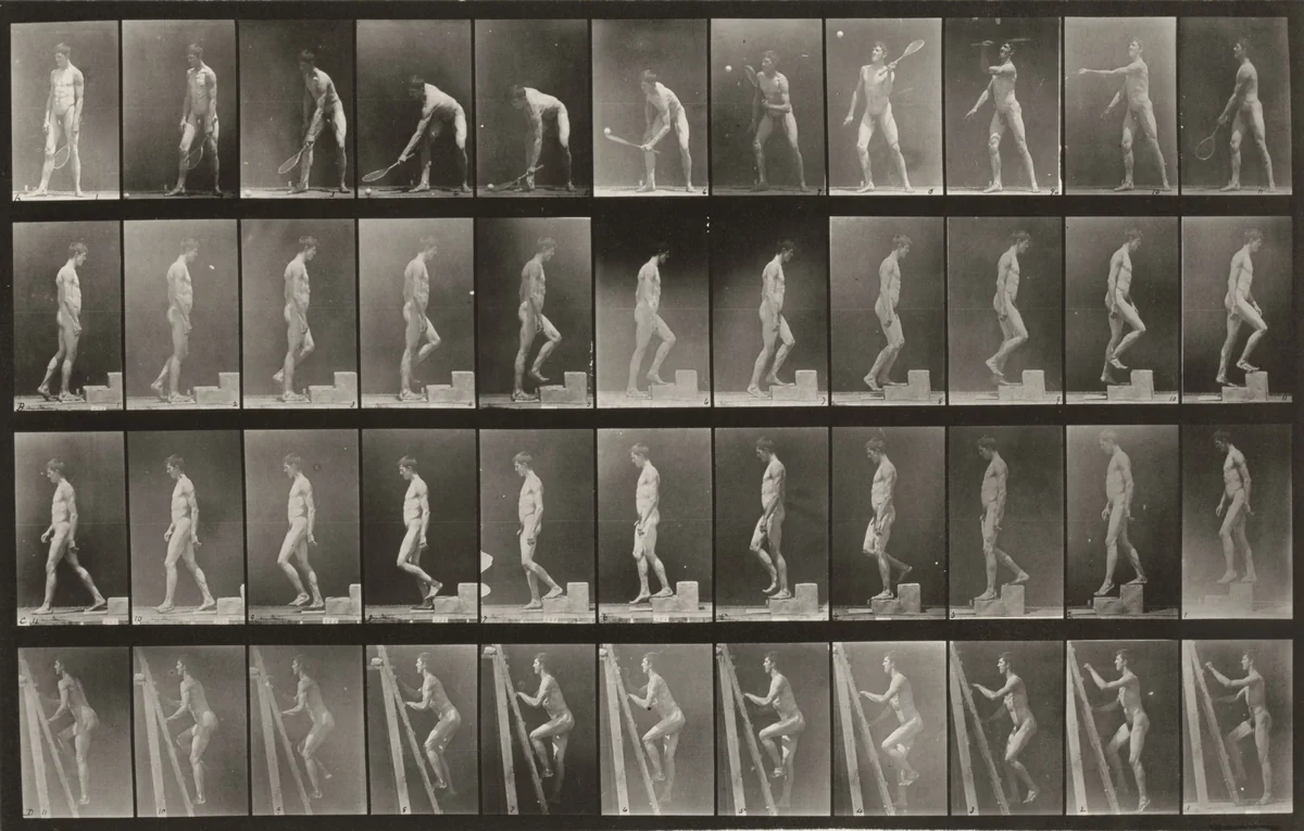Plate Number 486. A: Lawn tennis. B: Ascending a step. C: Descending a step. D: Ascending a ladder by Eadweard Muybridge, photograph, 1887