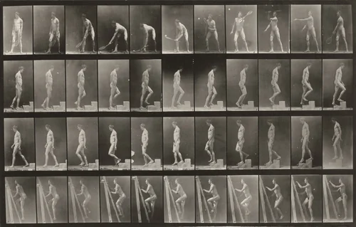 Plate Number 486. A: Lawn tennis. B: Ascending a step. C: Descending a step. D: Ascending a ladder by Eadweard Muybridge, photograph, 1887