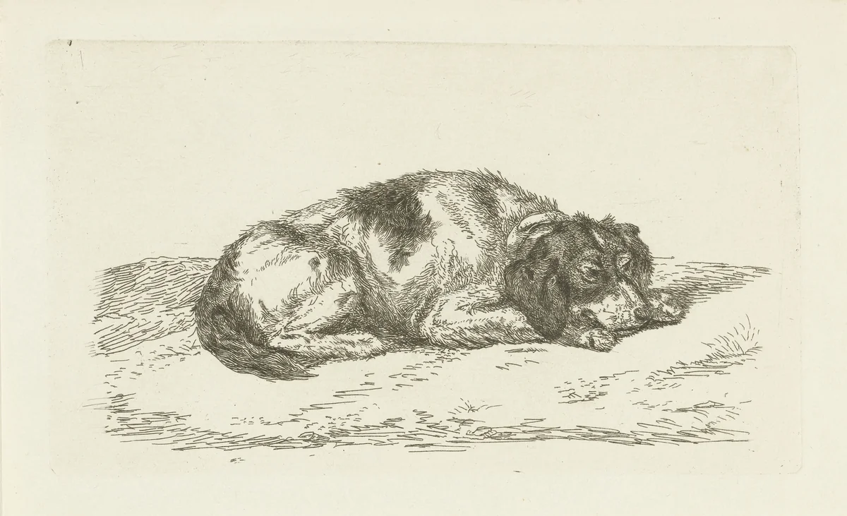 Slapende hond met kop rustend op voorpoten by Jan Dasveldt, print, 1780-1855