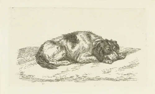 Slapende hond met kop rustend op voorpoten by Jan Dasveldt, print, 1780-1855