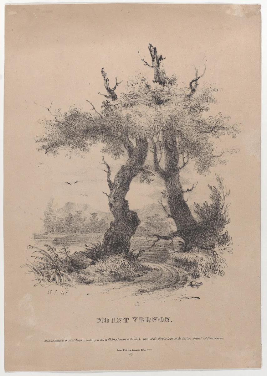 Mount Vernon with hidden silhouette of George Washington by Henry Inman, print, 1832