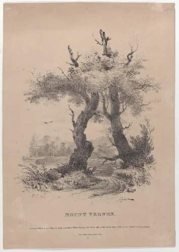 Mount Vernon with hidden silhouette of George Washington by Henry Inman, print, 1832