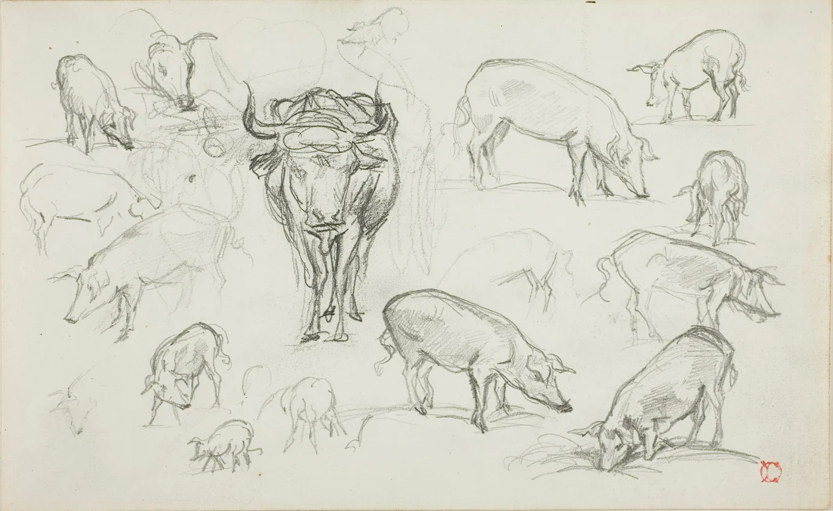 Sketches of Swine and an Ox by Charles-François Daubigny, drawing, 1837-1878