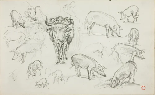 Sketches of Swine and an Ox by Charles-François Daubigny, drawing, 1837-1878