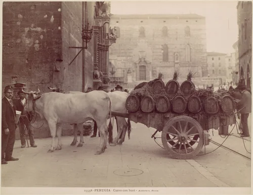 Carro con buoi, Perugia by James Anderson, photograph, 1880-1889