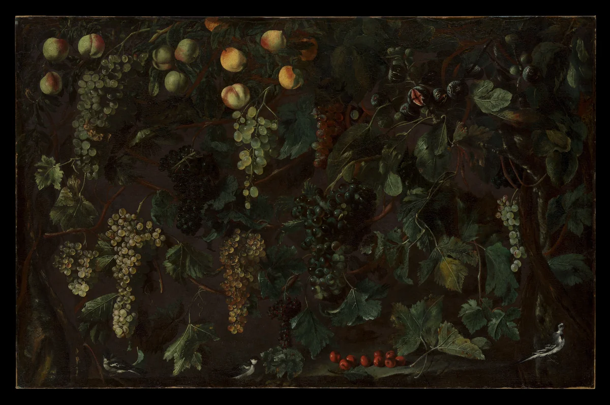 Grape Vines and Fruit, with Three Wagtails by Bartolomeo Cavarozzi, painting, 1615-1618