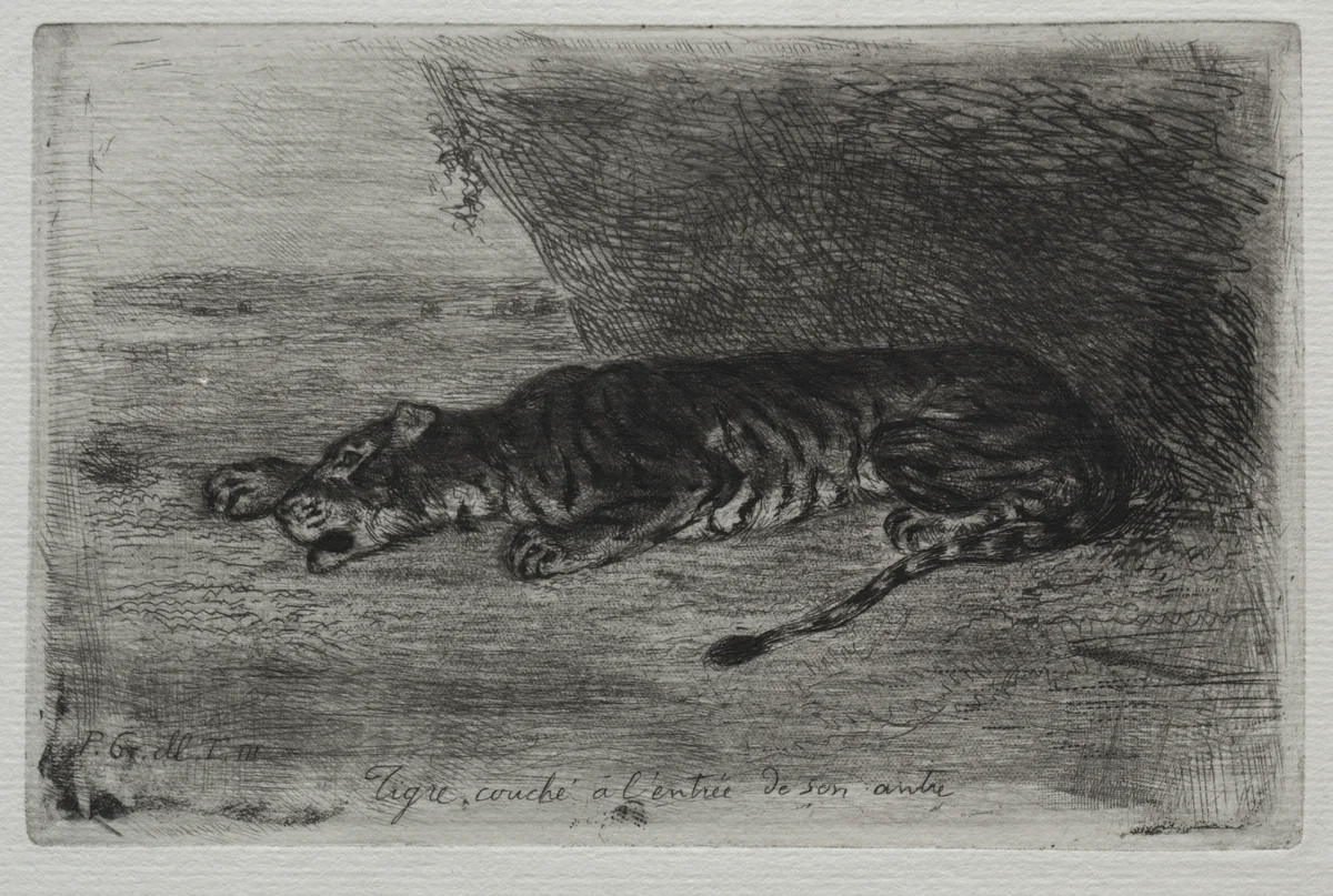 Tiger Sleeping at the Entrance to His Lair by Eugène Delacroix, print, 1828-1830