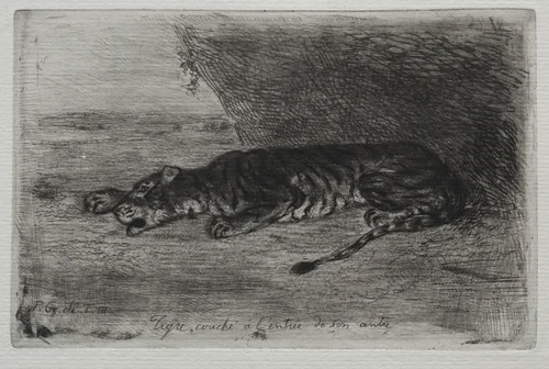 Tiger Sleeping at the Entrance to His Lair by Eugène Delacroix, print, 1828-1830