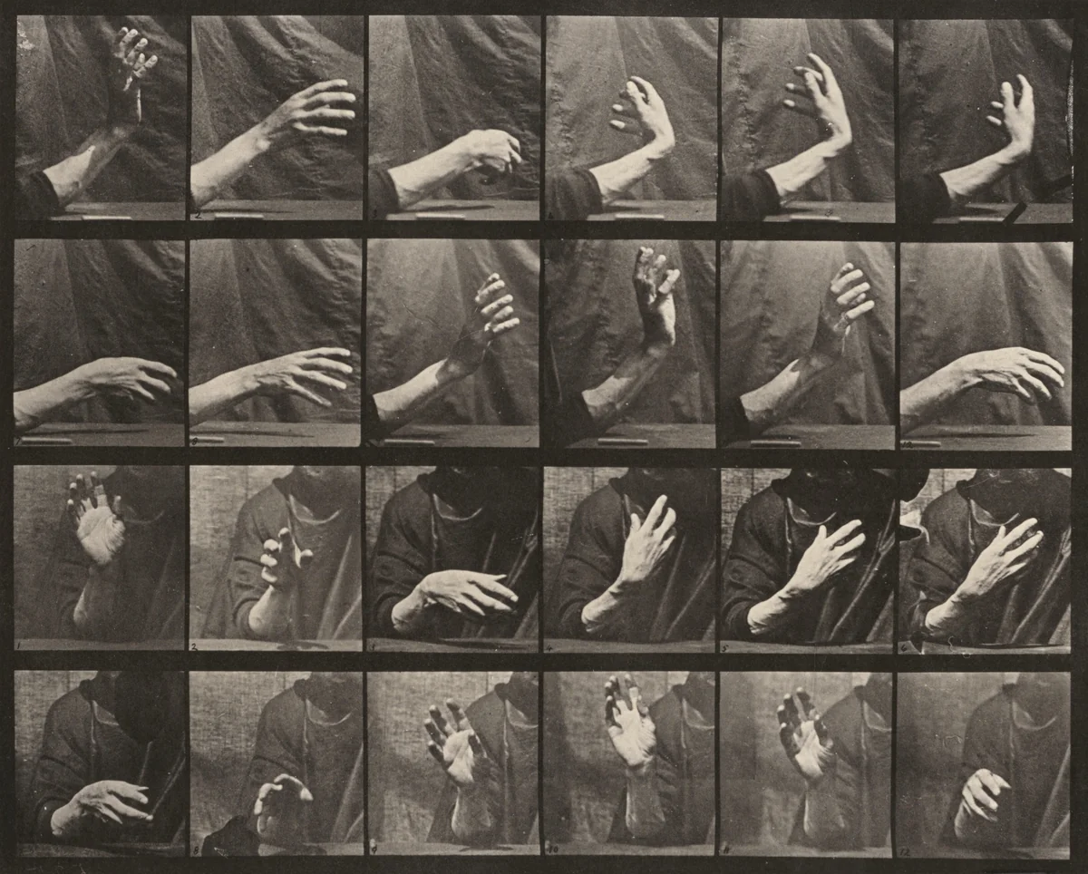 Plate Number 535. Movement of the hand, beating time by Eadweard Muybridge, photograph, 1887