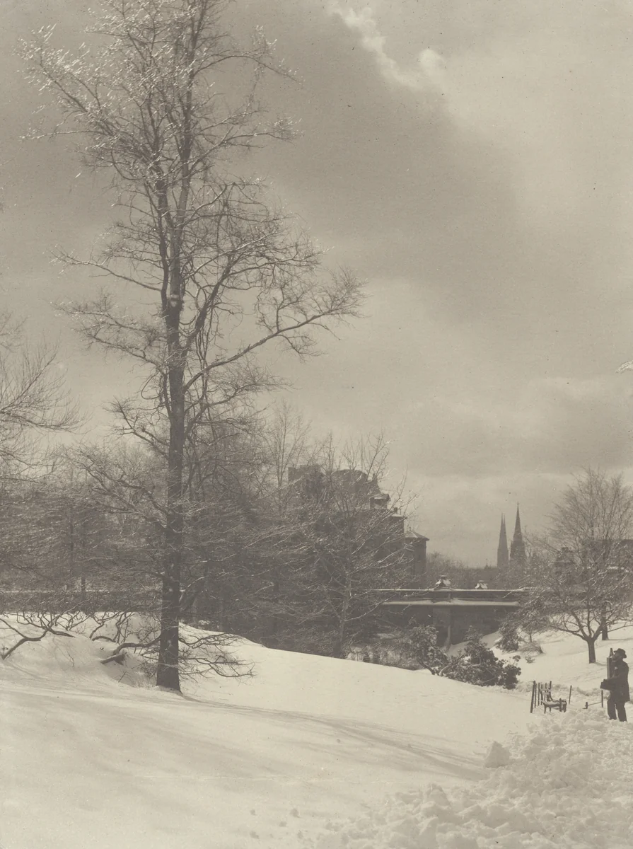Winter, Central Park by Alfred Stieglitz, photograph, 1894