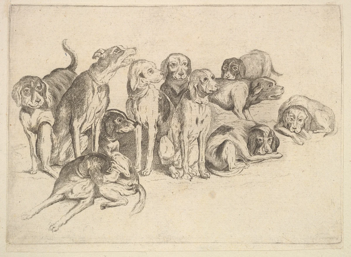 Eleven Hounds by Wenceslaus Hollar, print, 1646-1647