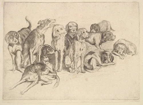 Eleven Hounds by Wenceslaus Hollar, print, 1646-1647