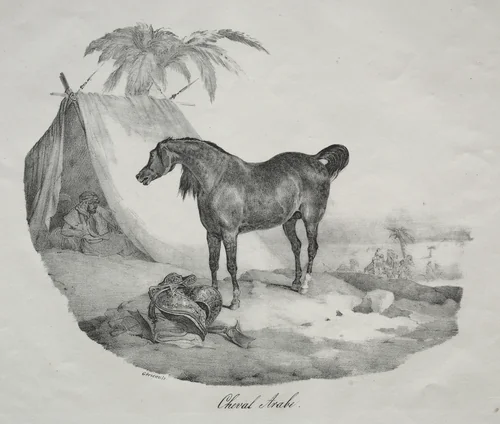 Arab Horse by Théodore Géricault, print, 1817-1824