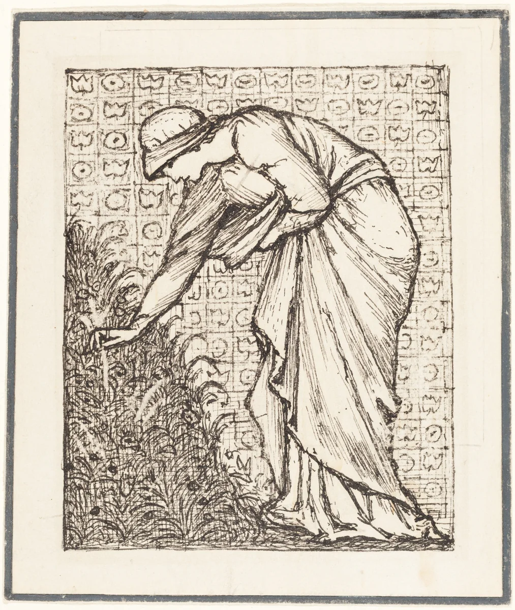 Lady Picking Flowers by Edward Coley Burne-Jones, drawing, 1885-1895