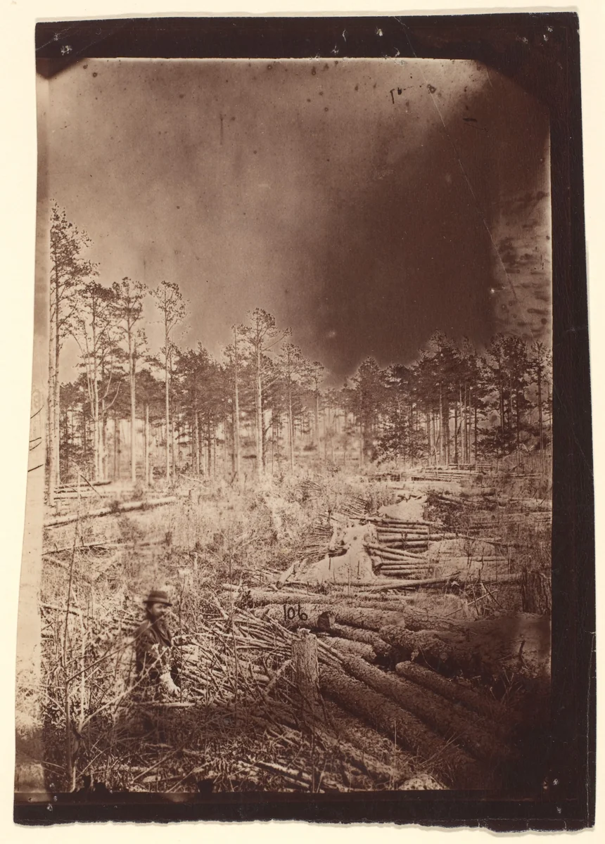 [The Wilderness Battlefield] by G. O. Brown, photograph, 1866