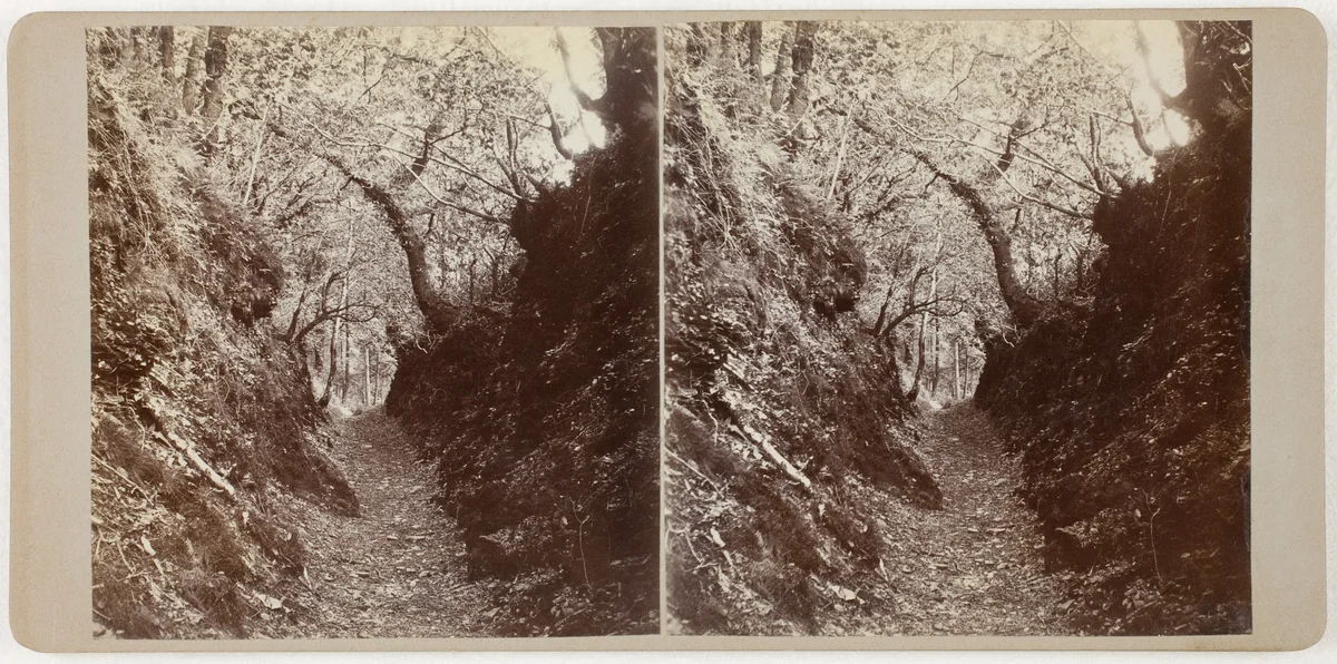 Untitled (Lydford) by Artist Unknown, photograph, 1860-1869