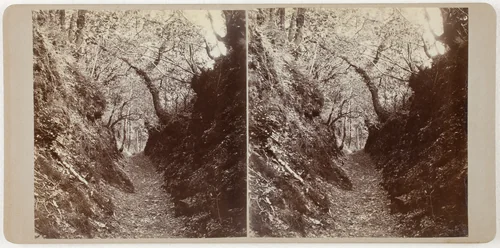 Untitled (Lydford) by Artist Unknown, photograph, 1860-1869