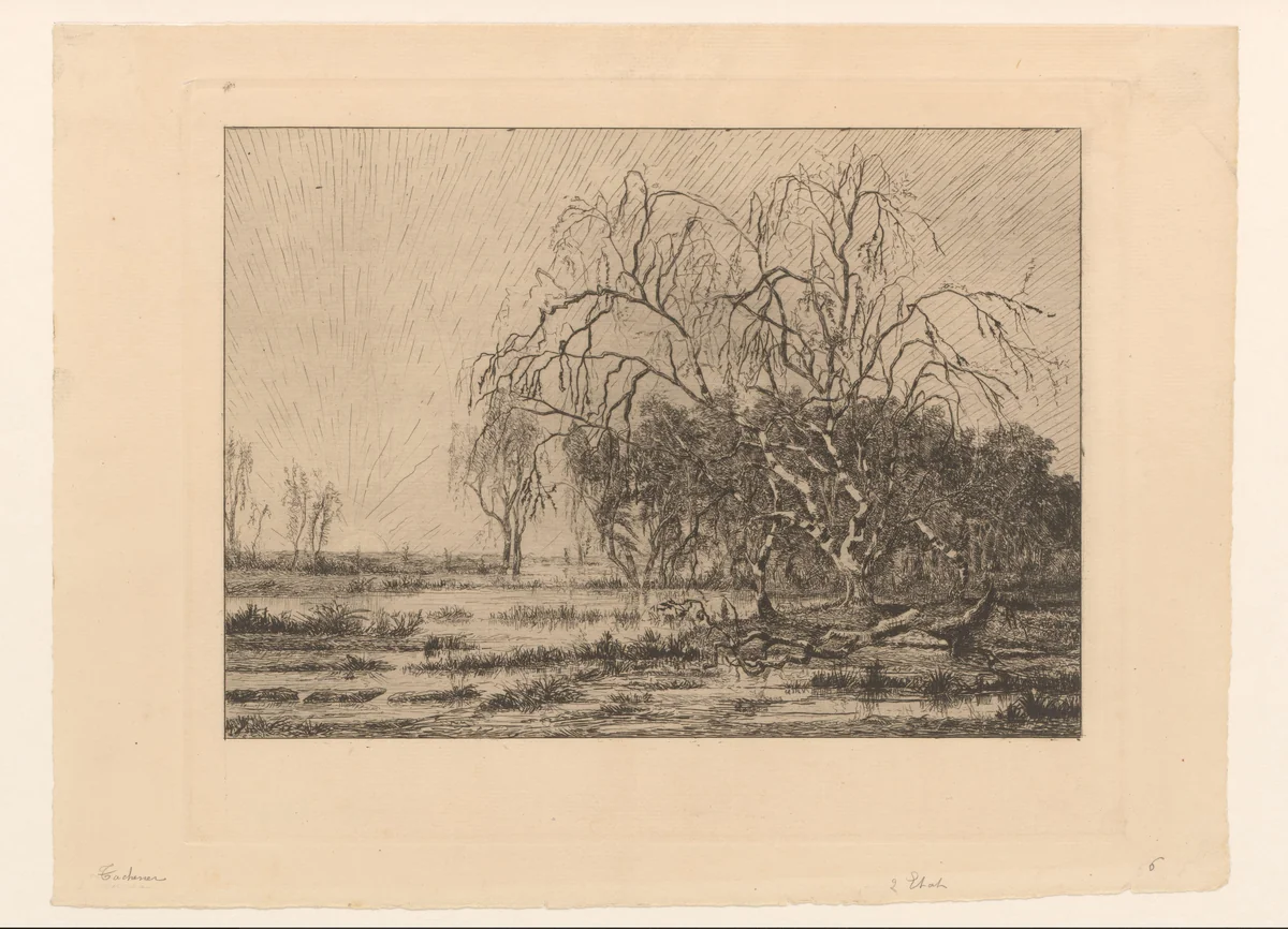 Moeras bij zonsopgang by Théodore Tscharner, print, 1836-1906