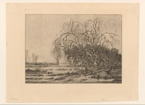 Moeras bij zonsopgang by Théodore Tscharner, print, 1836-1906