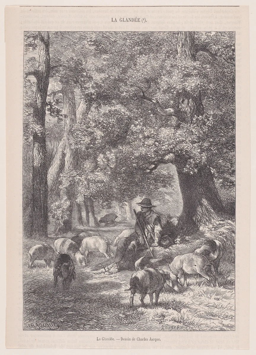 La Glandée, from "Le Magasin Pittoresque" by Charles Jacque, print, 1848-1864