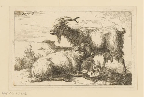Geit en twee schapen by Joseph Roos, print, 1754