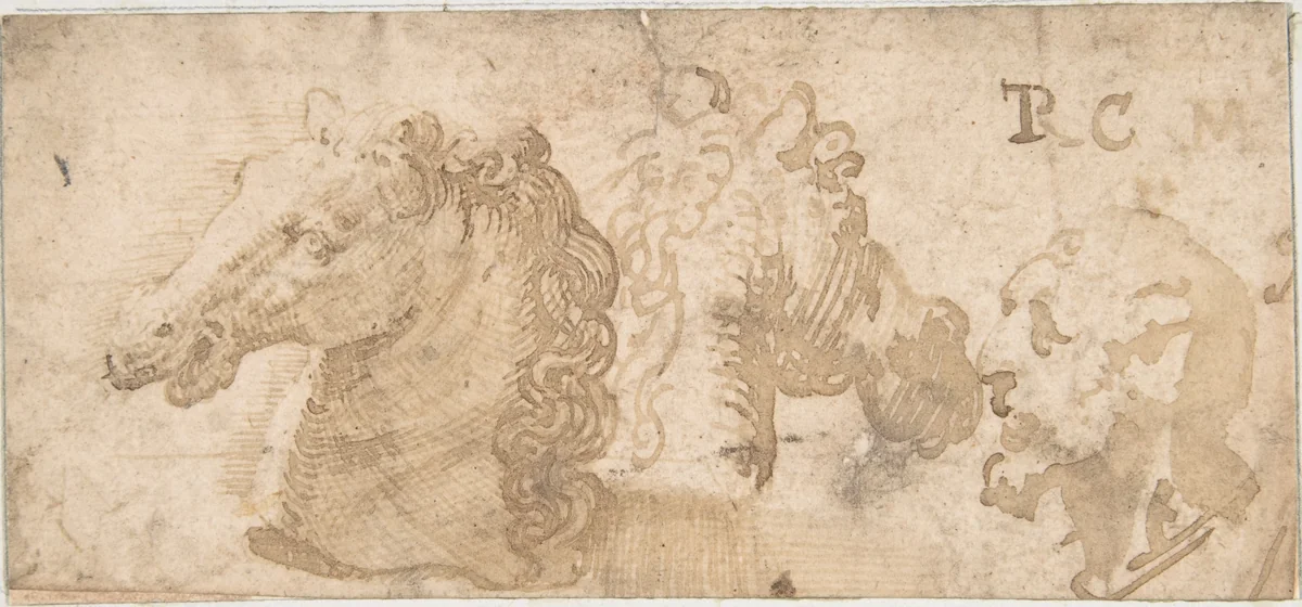 Two Views of a Horse's Head; the Head of a Bearded Man in Profile by anonymous, drawing, 1550-1600