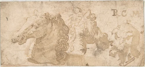 Two Views of a Horse's Head; the Head of a Bearded Man in Profile by anonymous, drawing, 1550-1600