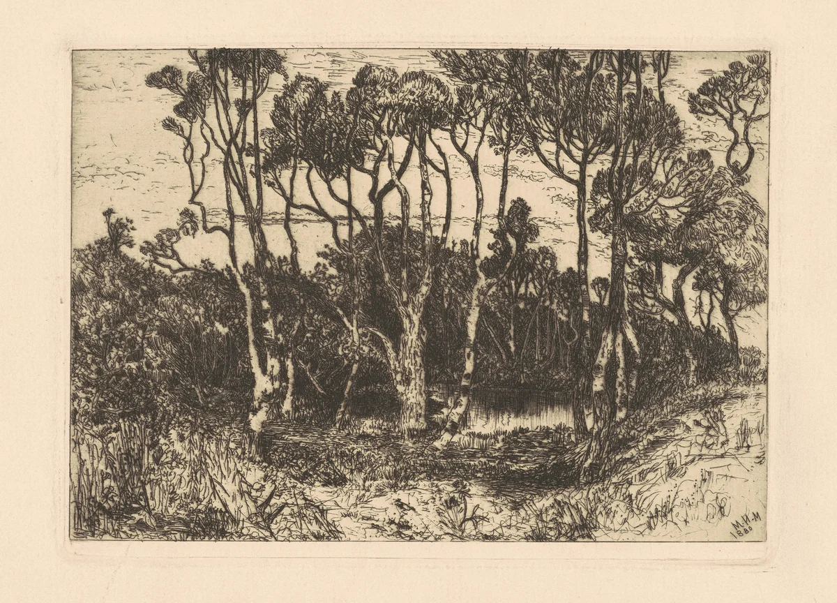 Solitude by Mary Nimmo Moran, print, 1880