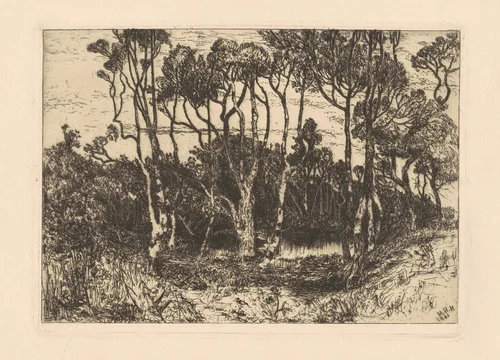 Solitude by Mary Nimmo Moran, print, 1880