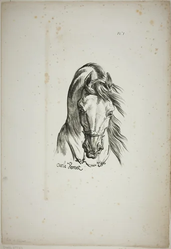 Detail of Horse's Head, Enlarged to Triple Size, Norman Royal Guard, No. 1 by Carle Vernet, print, 1813-1823