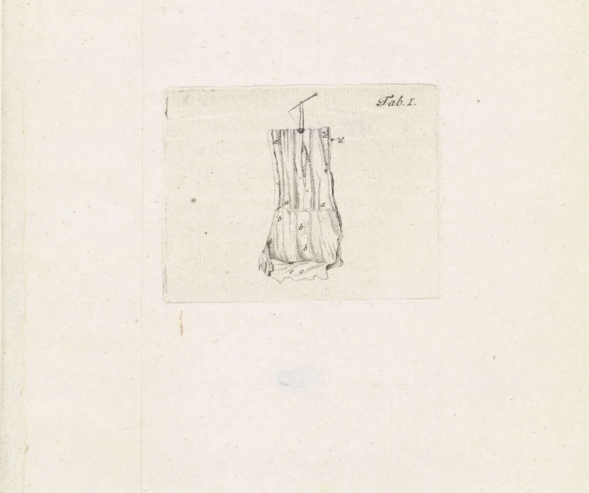 Anatomische afbeelding by Robbert Muys, print, 1785