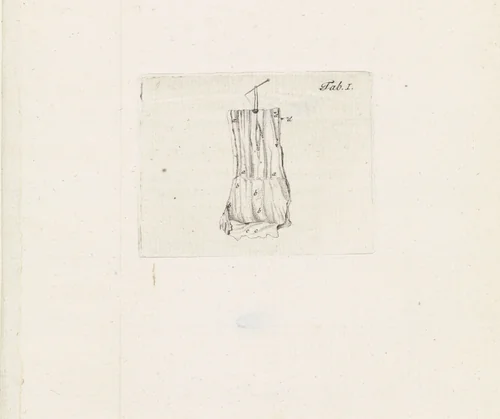 Anatomische afbeelding by Robbert Muys, print, 1785