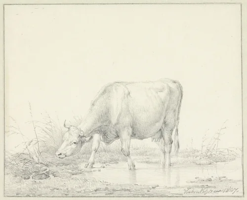 Koe, staande in een plas by Eugène Verboeckhoven, drawing, 1827