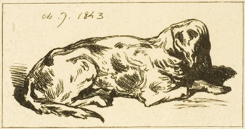 Lying Dog by Charles-Émile Jacque, print, 1843