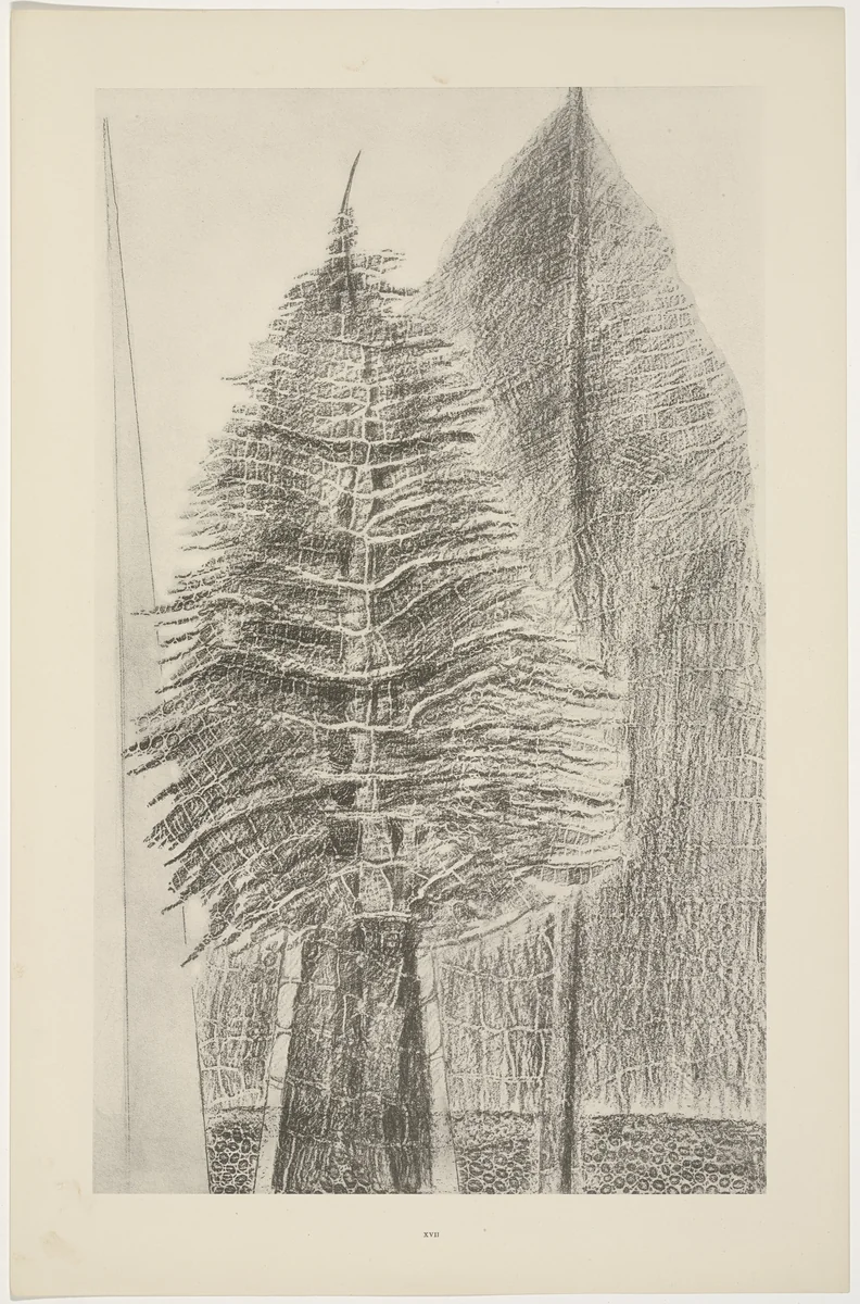 The Fascinating Cypress (Le Fascinant cyprès) from Natural History (Histoire naturelle) by Max Ernst, print, 1925
