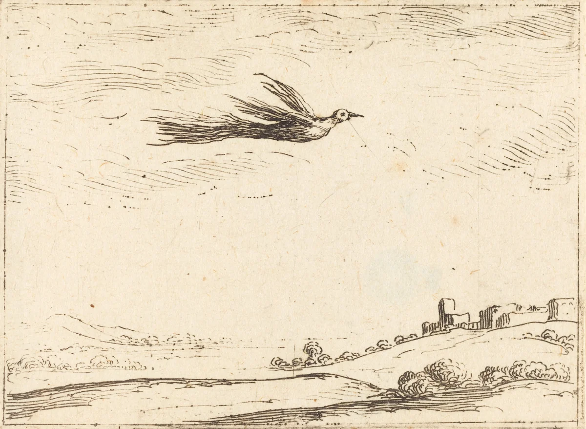 Bird of Paradise by Jacques Callot, print, 1592-1635