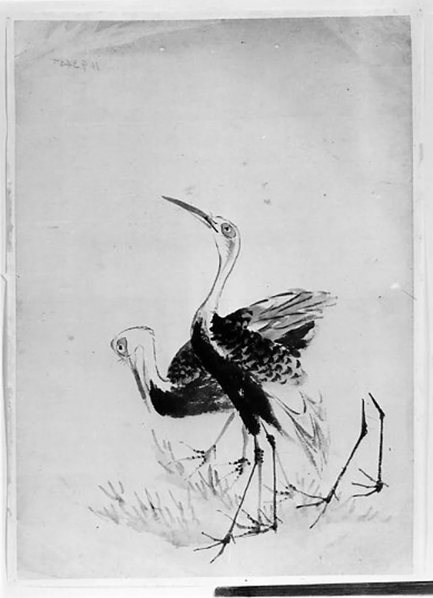 Two Cranes by Hokusai School, painting, 1800-1868