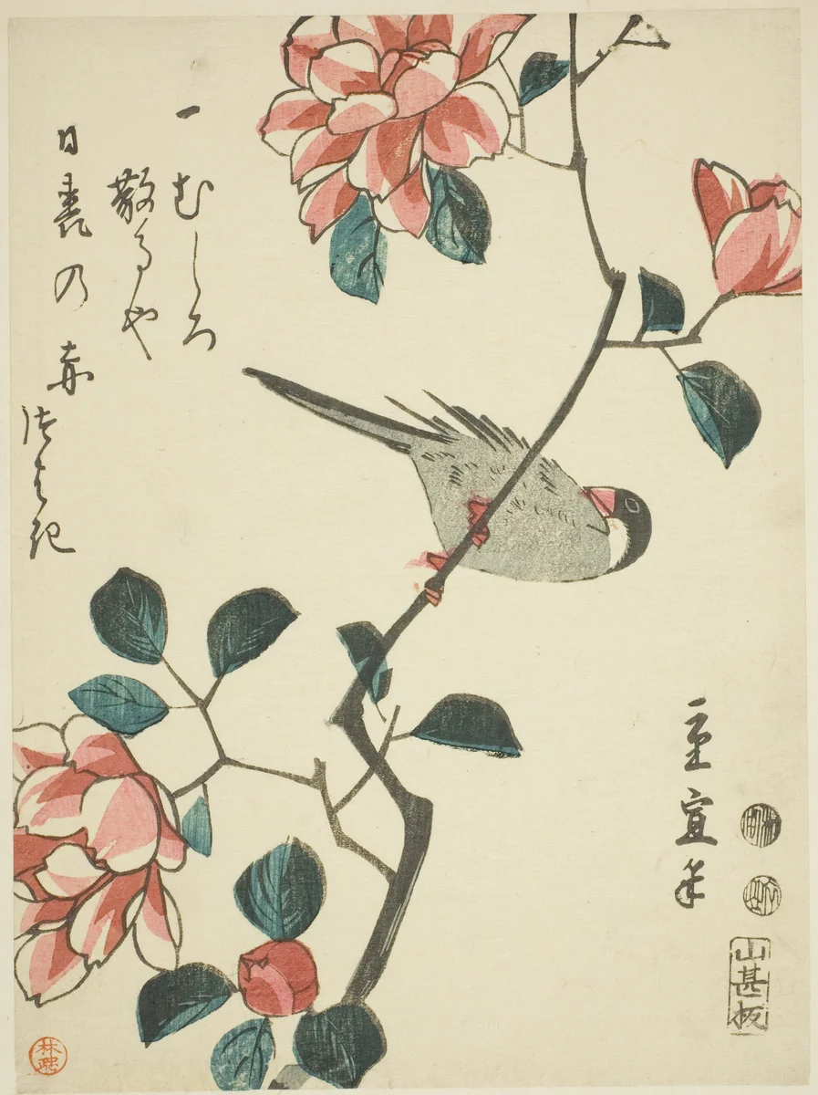 Sparrow on camellia branch by Utagawa Hiroshige II (二代目歌川広重), print, 1842-1857