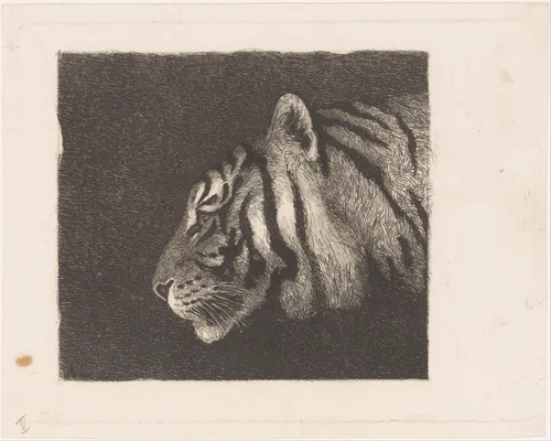 Tijgerkop by August Le Gras, print, 1874-1886