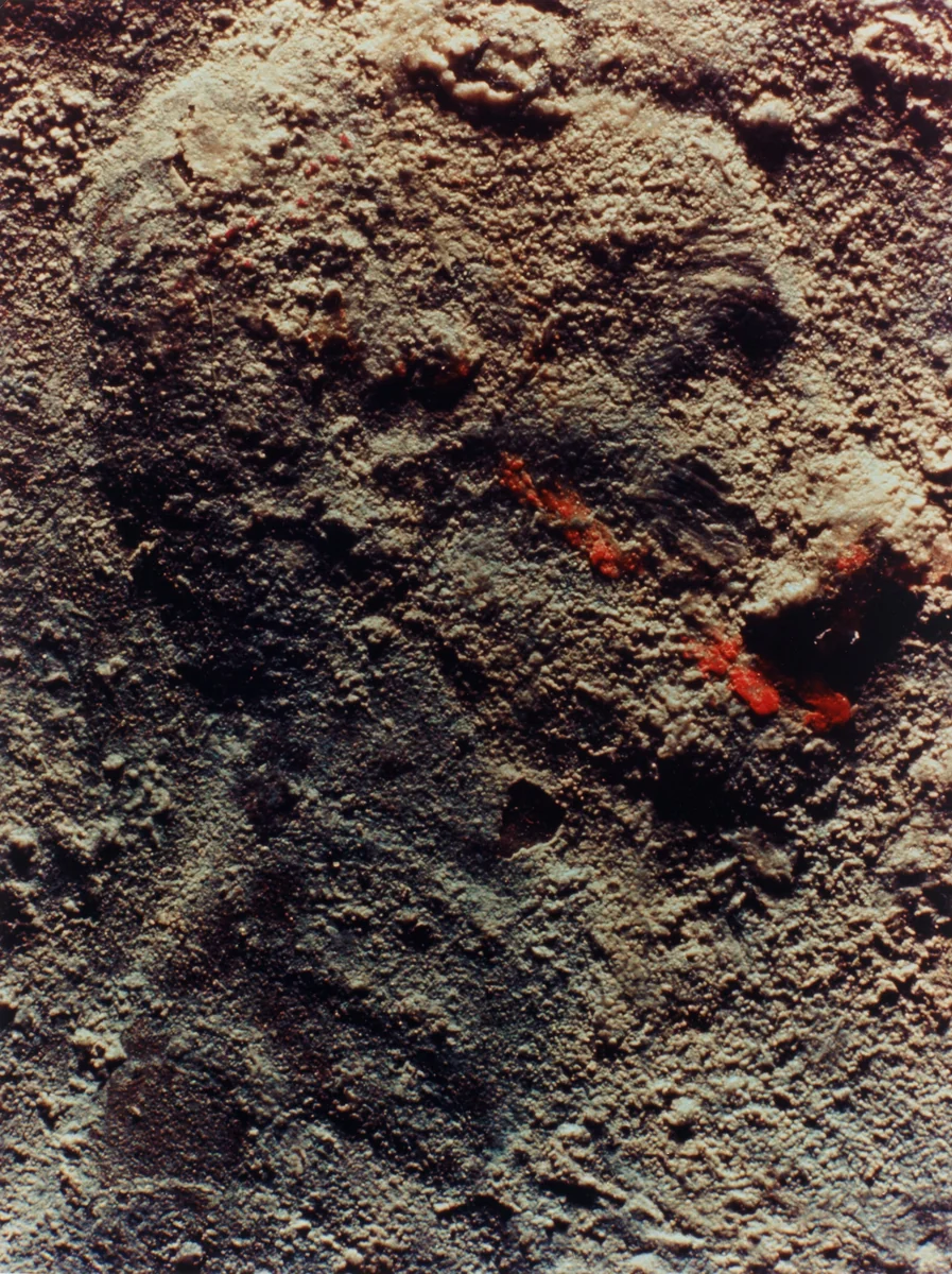 Copperhead #44 by Moyra Davey, photograph, 1990