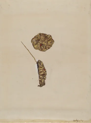 Brooch by Grace Halpin, index of american design, 1936