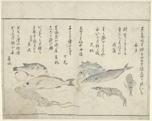 Zeedieren by Kitao Masayoshi, print, 1775-1824