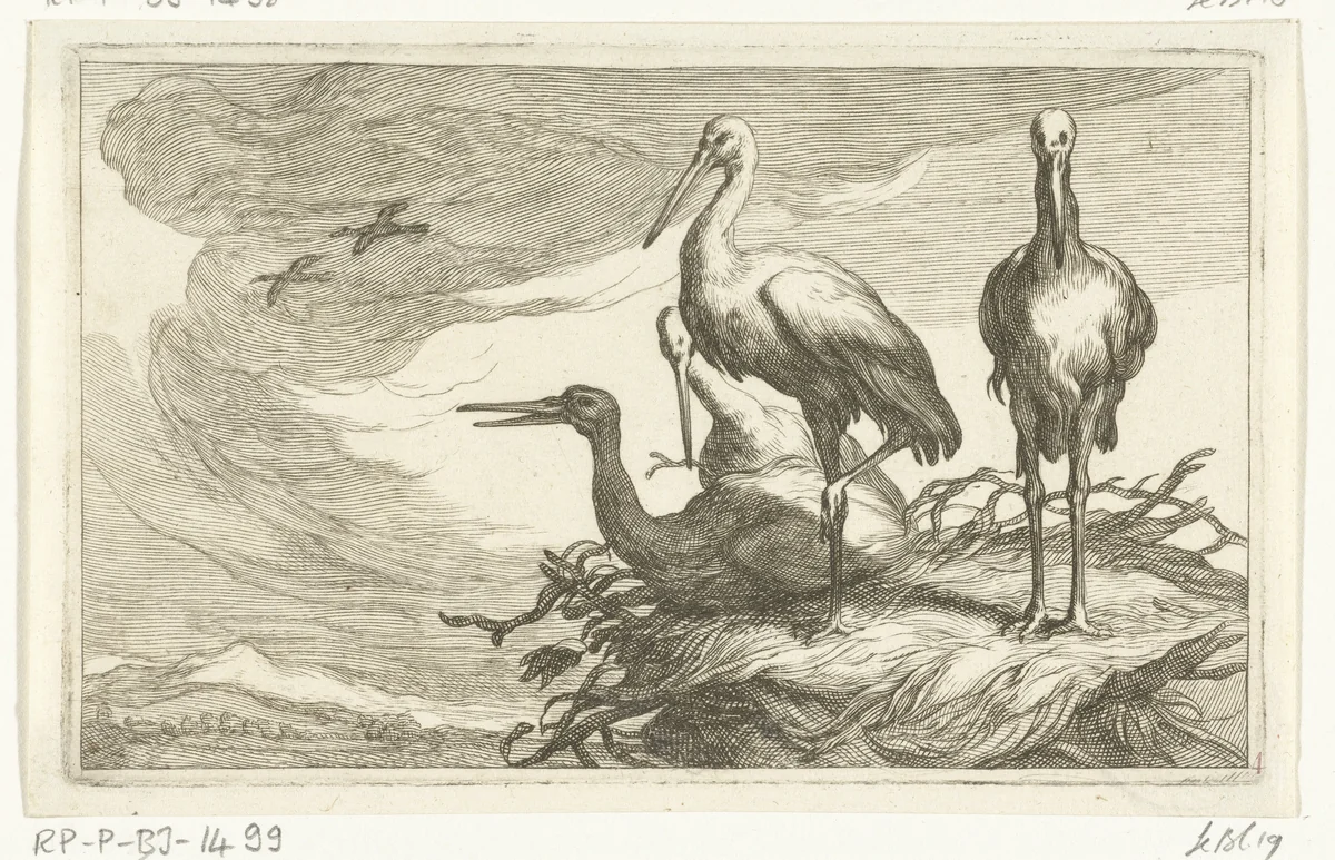 Ooievaars in een nest by Frederick Bloemaert, print, 1635-1670