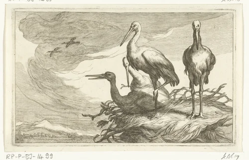 Ooievaars in een nest by Frederick Bloemaert, print, 1635-1670