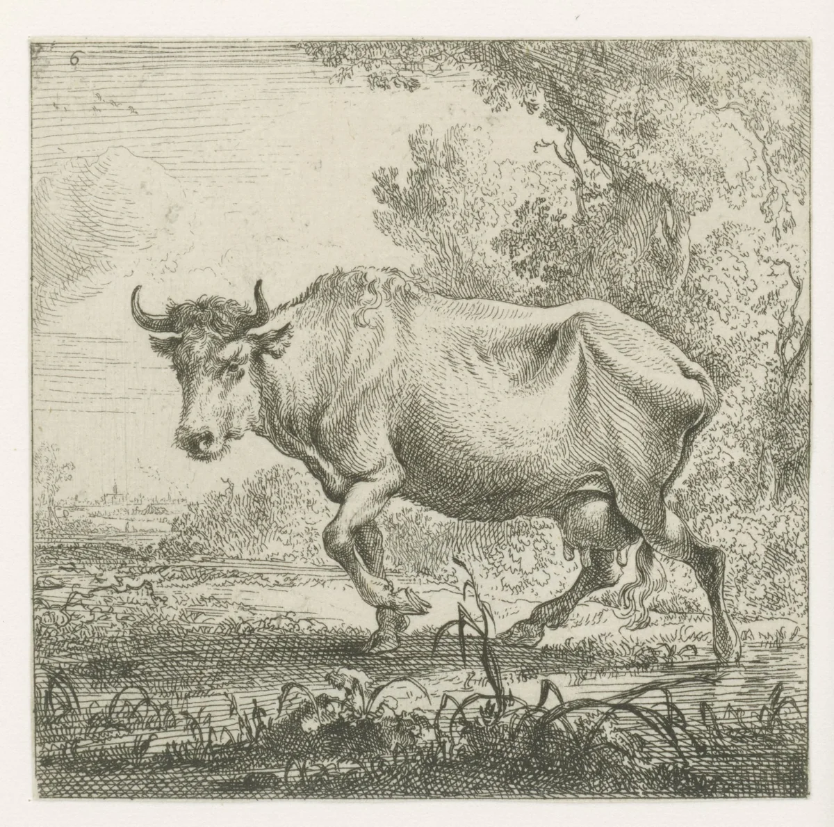Lopende koe by Nicolaes Pietersz Berchem, print, 1644