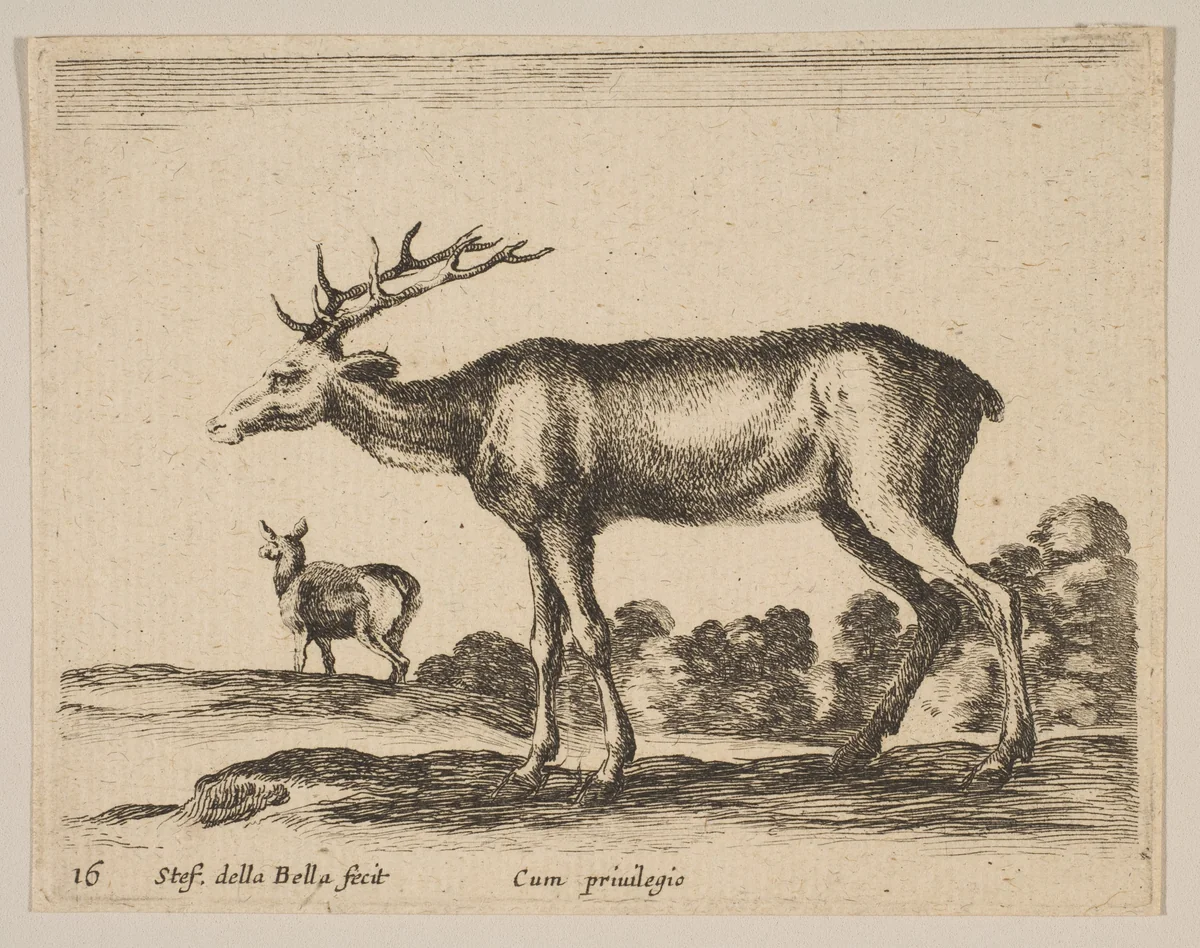 Plate 16: Stag, from "Various animals" (Diversi animali) by Stefano della Bella, print, 1636-1646