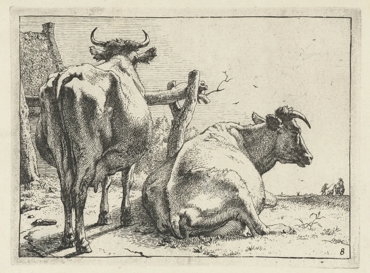Twee koeien van achteren gezien by Paulus Potter, print, 1650
