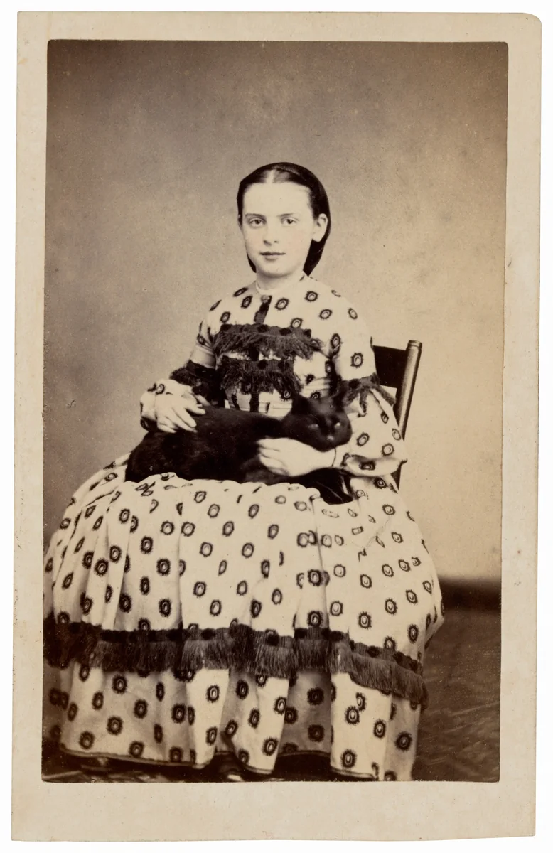 Portrait of a Girl and Cat by Thomas M. V. Doughty, photograph, 1857-1867