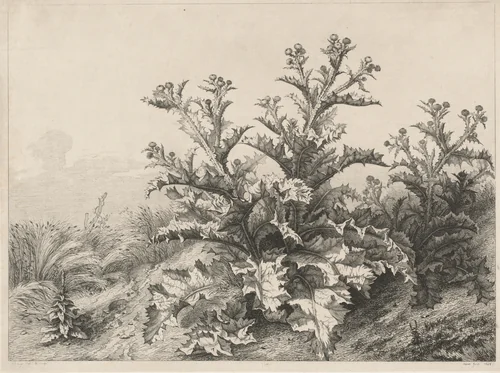 The Great Thistle (Le Grand Chardon) by Eugène Bléry, print, 1843