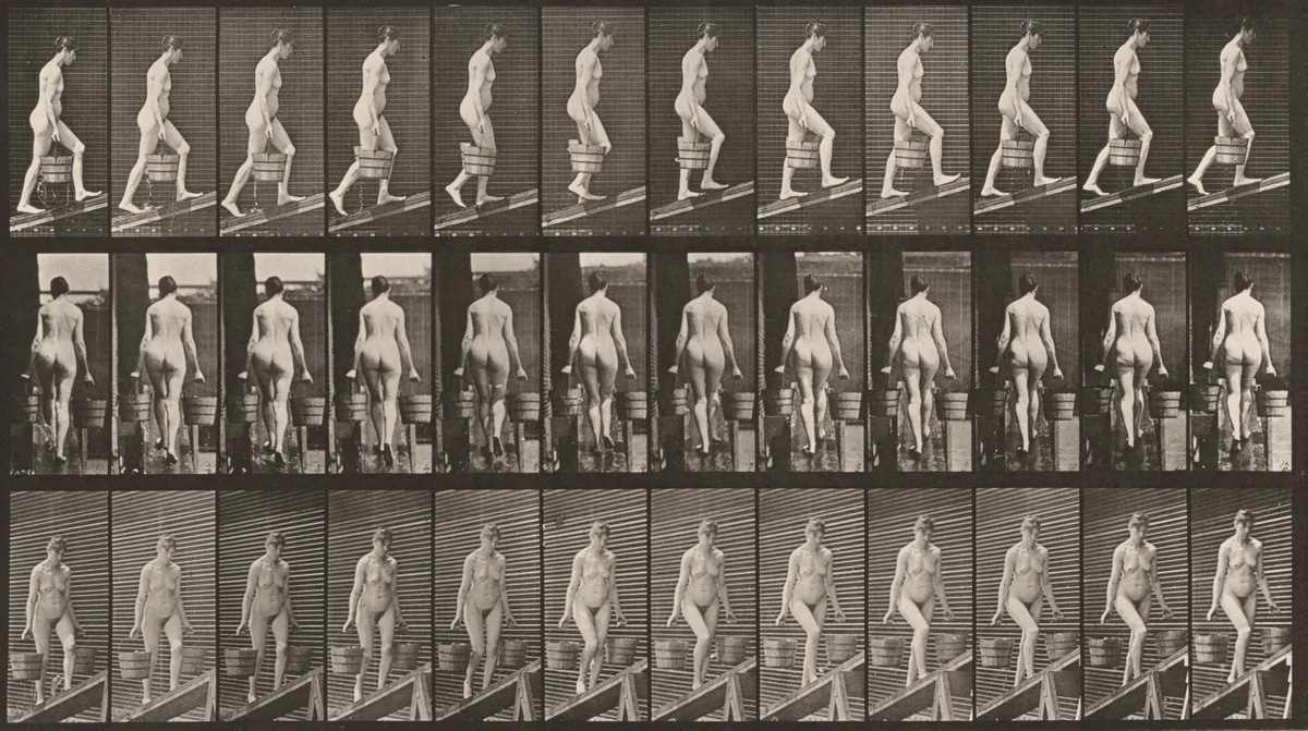 Plate Number 81. Ascending an incline with a bucket of water in each hand by Eadweard Muybridge, photograph, 1887